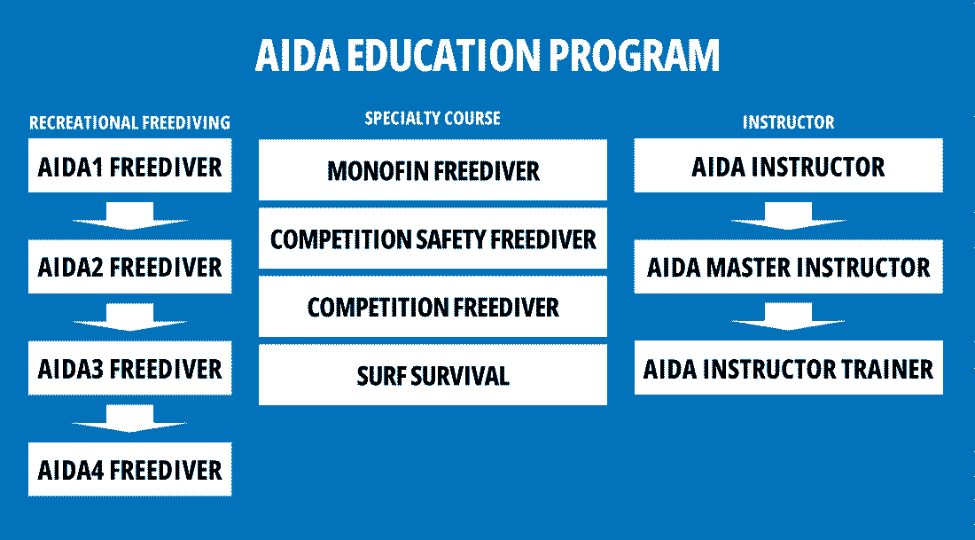 AIDA