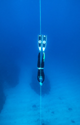 AIDA 3 Freediver