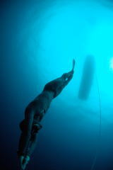 AIDA 4 Freediver