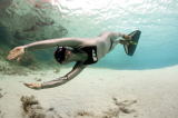 AIDA 4 Freediver
