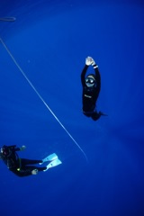 フリーダイビングスクール[CAMP]