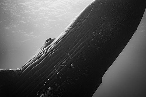 HERITAGE 篠宮龍三